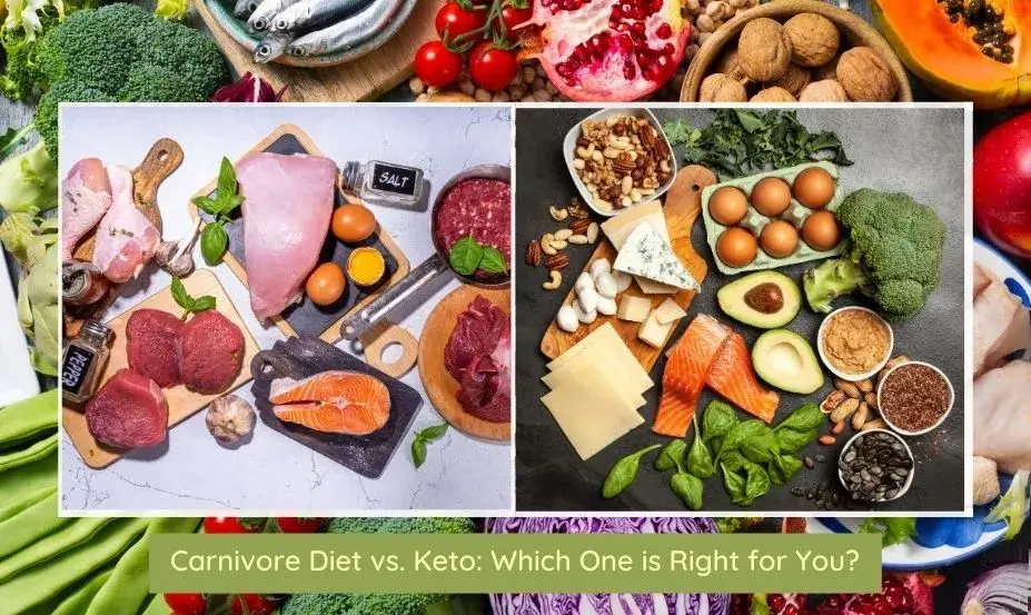 carnivore-diet-vs-Keto