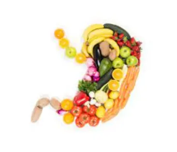 Digestive Health